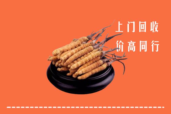 高价求购：邢台清河回收散虫草