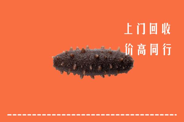 高价求购：邢台清河回收海参